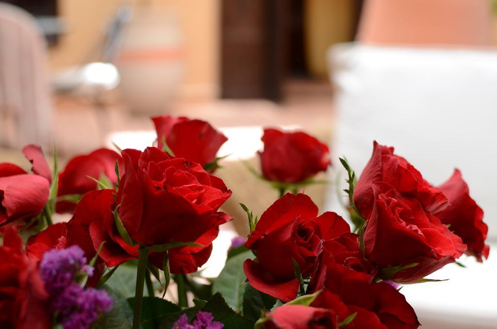 Riad Hadda Marrakesh Luaran gambar